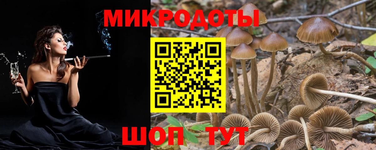 Псилоцибиновые грибы ЛСД Белогорск
