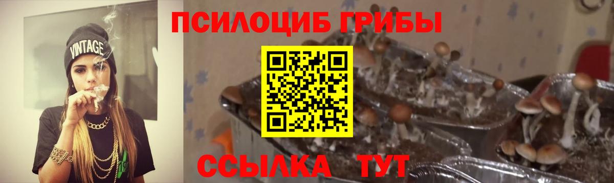 Псилоцибиновые грибы мухоморы  Вход с VPN  Псилоцибиновые грибы прущие грибы  Белогорск 